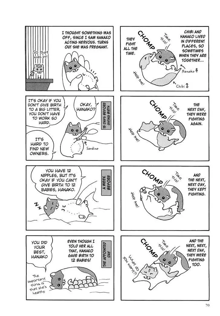 Hamster no Kenkyuu Report Chapter 8 2